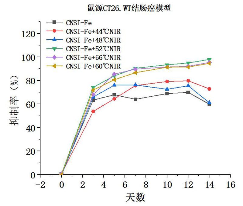 纳米炭铁热疗在52-60℃都能取得较好的肿瘤抑制率